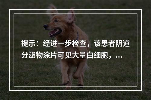 提示：经进一步检查，该患者阴道分泌物涂片可见大量白细胞，确诊