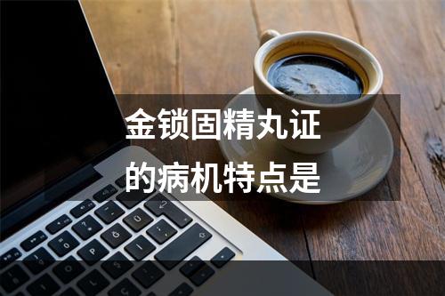 金锁固精丸证的病机特点是