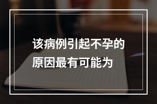 该病例引起不孕的原因最有可能为