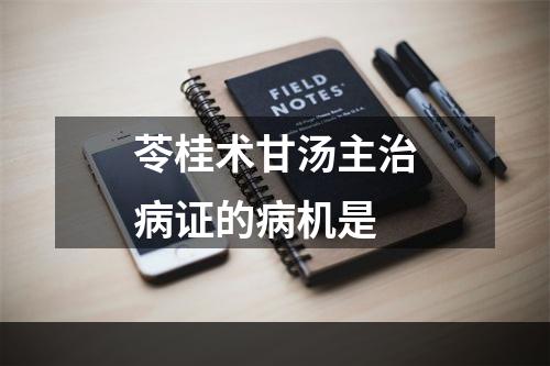 苓桂术甘汤主治病证的病机是