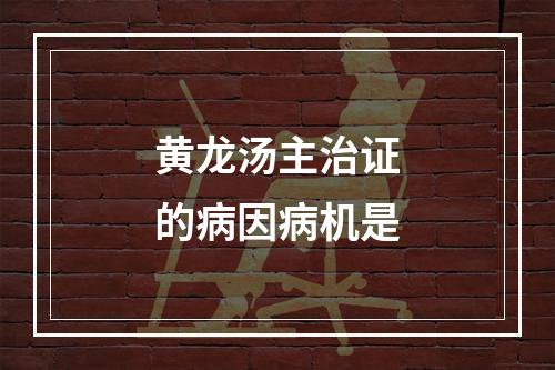 黄龙汤主治证的病因病机是