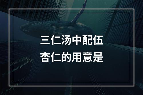 三仁汤中配伍杏仁的用意是