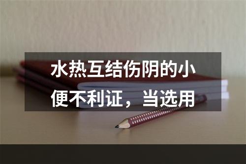 水热互结伤阴的小便不利证，当选用