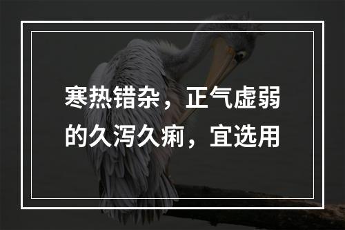 寒热错杂，正气虚弱的久泻久痢，宜选用