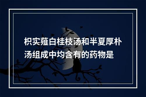 枳实薤白桂枝汤和半夏厚朴汤组成中均含有的药物是