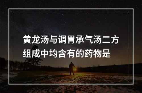 黄龙汤与调胃承气汤二方组成中均含有的药物是