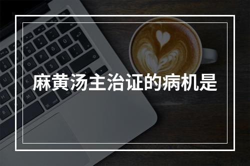 麻黄汤主治证的病机是