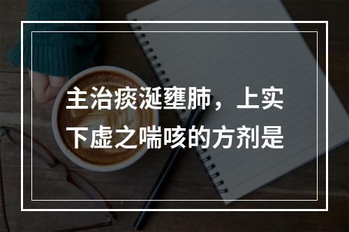 主治痰涎壅肺，上实下虚之喘咳的方剂是