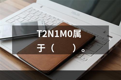 T2N1M0属于（　　）。