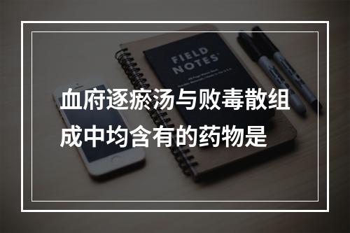 血府逐瘀汤与败毒散组成中均含有的药物是