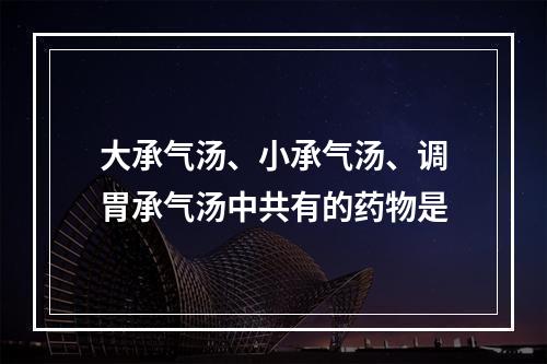 大承气汤、小承气汤、调胃承气汤中共有的药物是