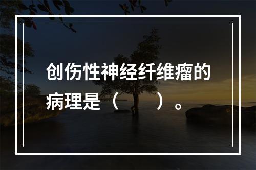 创伤性神经纤维瘤的病理是（　　）。