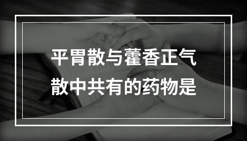 平胃散与藿香正气散中共有的药物是