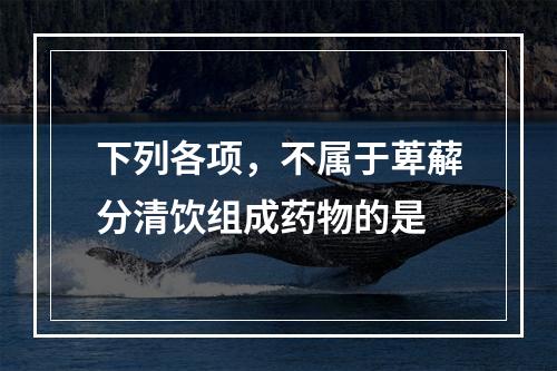 下列各项，不属于萆薢分清饮组成药物的是