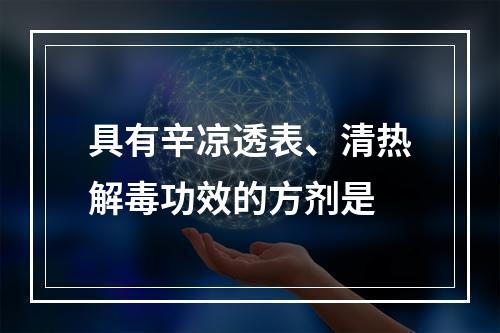 具有辛凉透表、清热解毒功效的方剂是