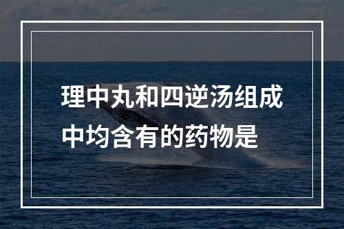 理中丸和四逆汤组成中均含有的药物是