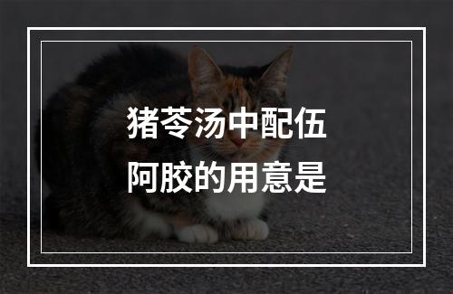 猪苓汤中配伍阿胶的用意是