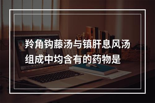 羚角钩藤汤与镇肝息风汤组成中均含有的药物是