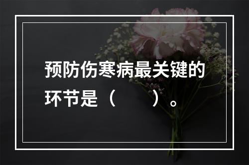 预防伤寒病最关键的环节是（　　）。