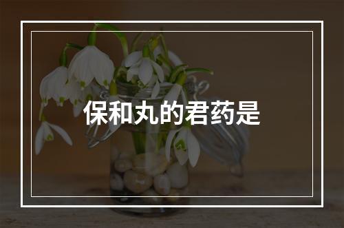 保和丸的君药是