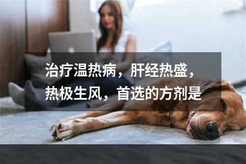 治疗温热病，肝经热盛，热极生风，首选的方剂是