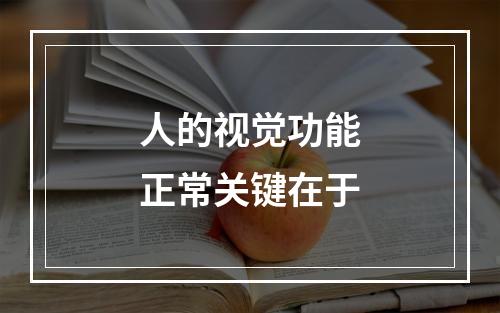 人的视觉功能正常关键在于