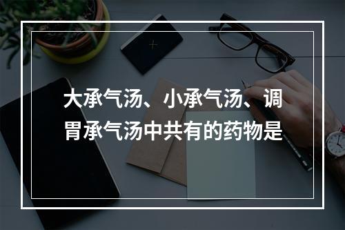 大承气汤、小承气汤、调胃承气汤中共有的药物是