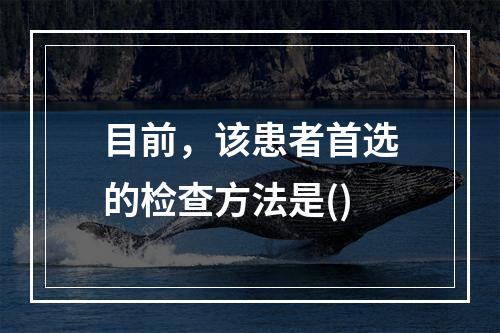 目前，该患者首选的检查方法是()