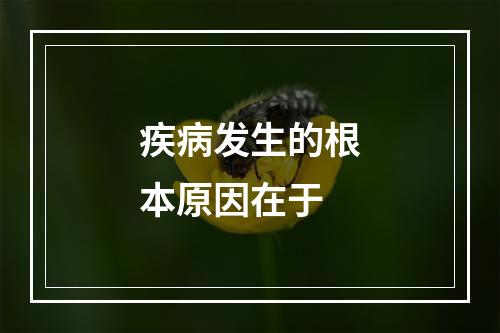 疾病发生的根本原因在于