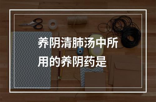 养阴清肺汤中所用的养阴药是