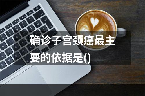 确诊子宫颈癌最主要的依据是()