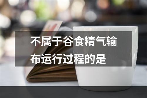 不属于谷食精气输布运行过程的是