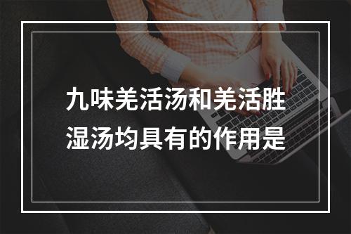 九味羌活汤和羌活胜湿汤均具有的作用是