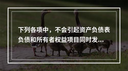 下列各项中，不会引起资产负债表负债和所有者权益项目同时发生变