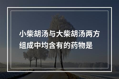 小柴胡汤与大柴胡汤两方组成中均含有的药物是