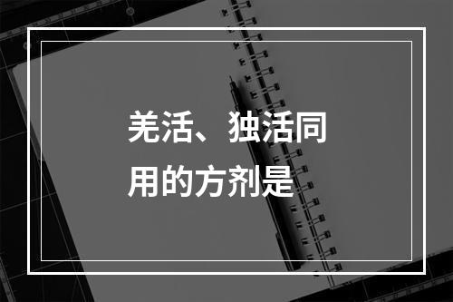 羌活、独活同用的方剂是