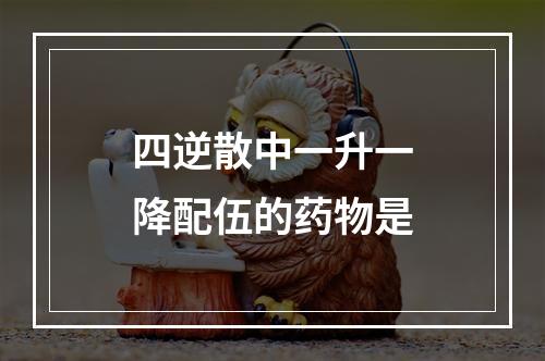 四逆散中一升一降配伍的药物是