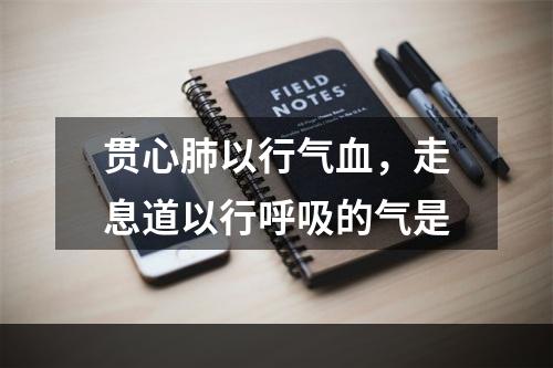 贯心肺以行气血，走息道以行呼吸的气是