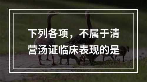 下列各项，不属于清营汤证临床表现的是