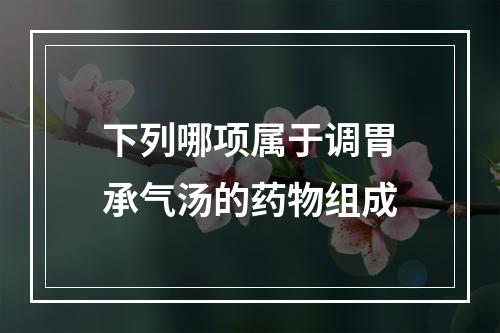 下列哪项属于调胃承气汤的药物组成