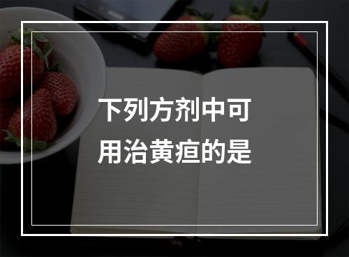 下列方剂中可用治黄疸的是