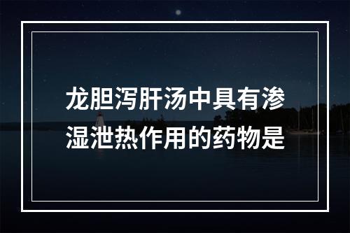 龙胆泻肝汤中具有渗湿泄热作用的药物是