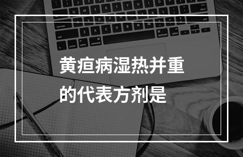 黄疸病湿热并重的代表方剂是