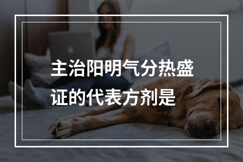 主治阳明气分热盛证的代表方剂是