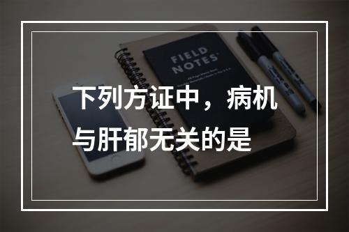 下列方证中，病机与肝郁无关的是