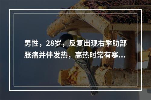 男性，28岁，反复出现右季肋部胀痛并伴发热，高热时常有寒战，