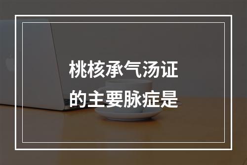 桃核承气汤证的主要脉症是