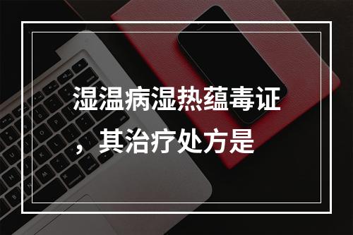 湿温病湿热蕴毒证，其治疗处方是