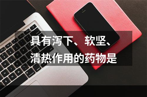 具有泻下、软坚、清热作用的药物是