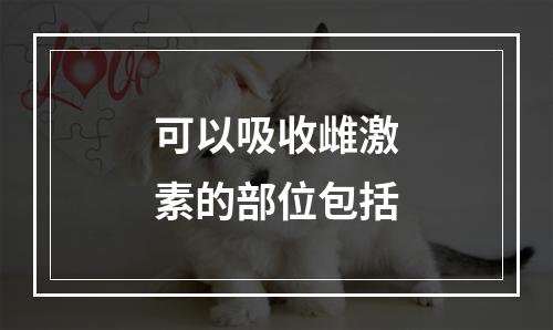 可以吸收雌激素的部位包括